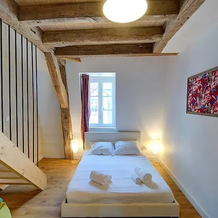 Glorisa - Quartier Historique Apartment Tours