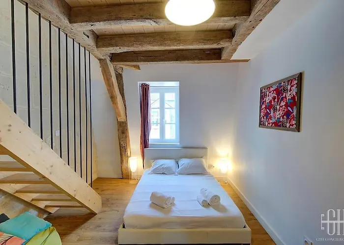 Glorisa - Quartier Historique Apartmán Tours